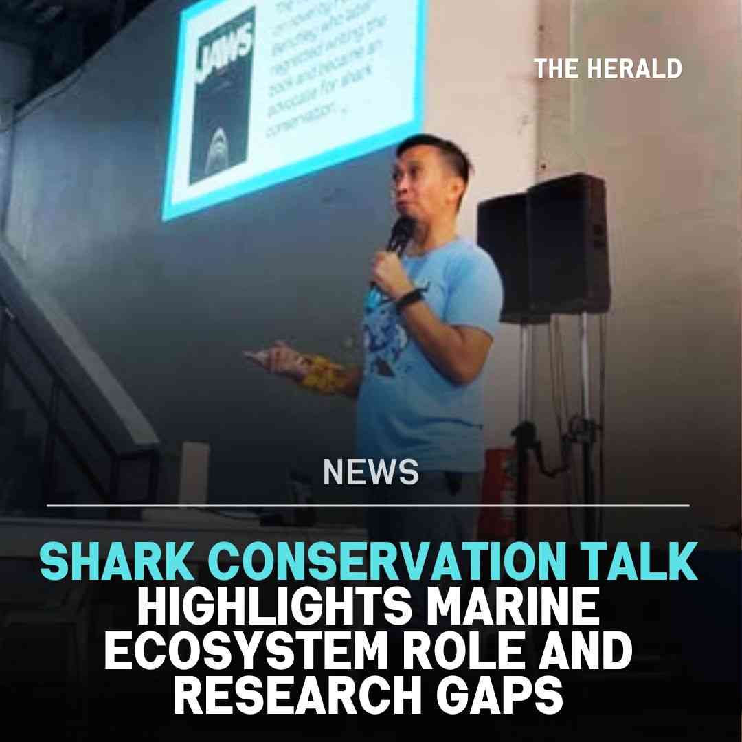 Shark conservation talk highlights marine ecosystem role and research gaps