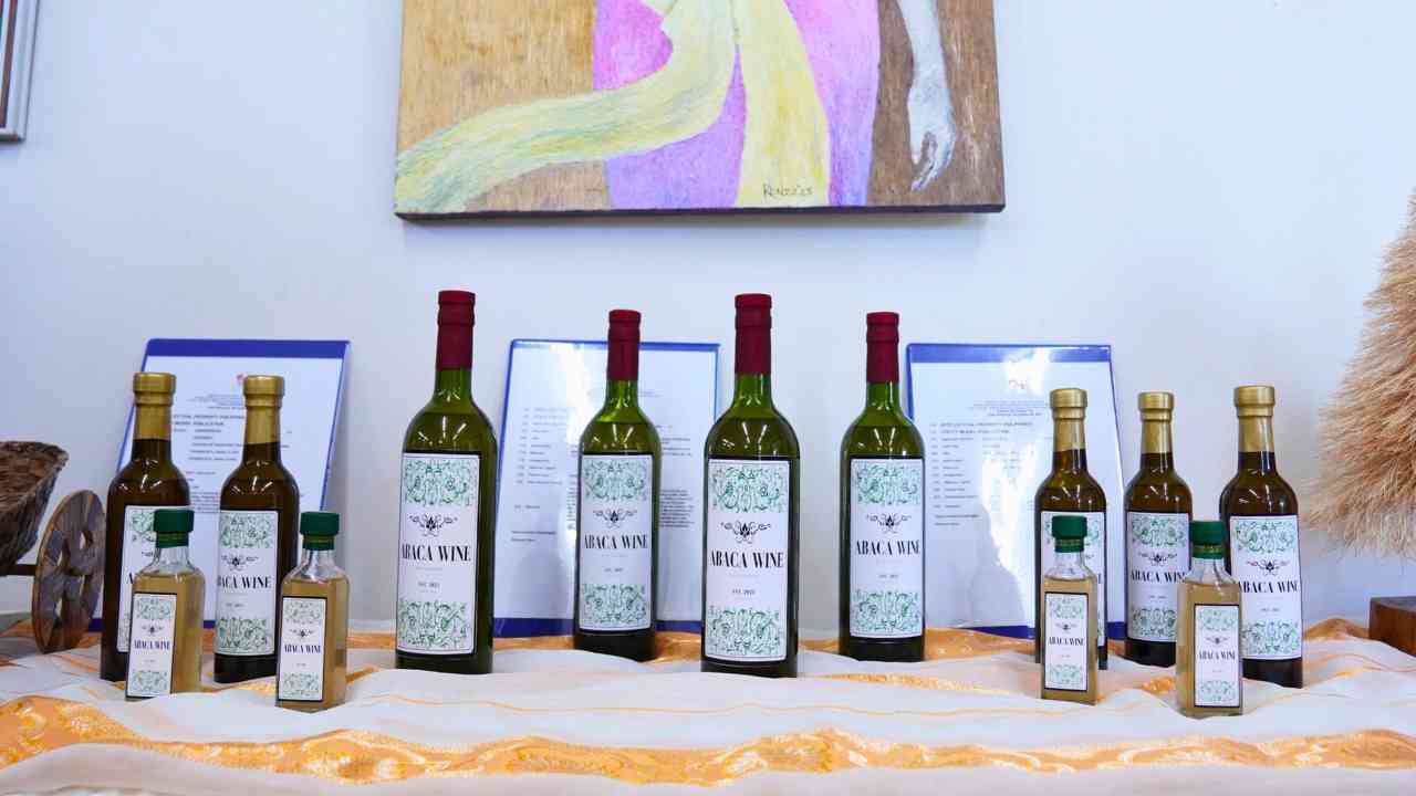 CatSU to spotlight abaca innovations, research in Abacanobasyon Year 3