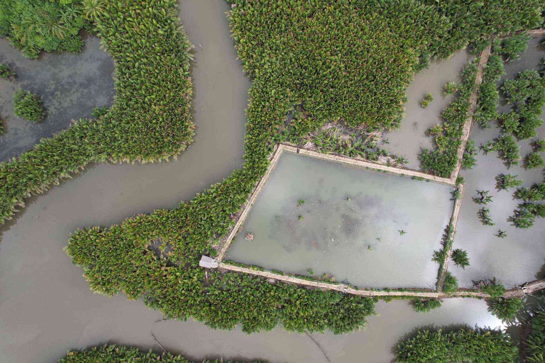 Rooted in Resilience: How ACE-HEMS and HELP.NGO are Turning the Tides for Catanduanes’ Coastlines